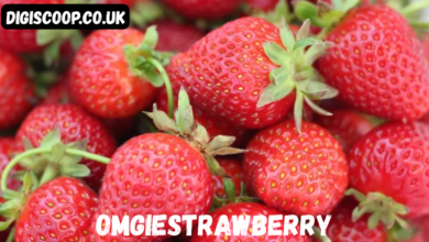 omgiestrawberry