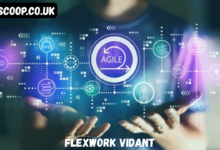 flexwork vidant